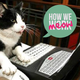 Illustration for article titled Im a Cat from Cats Dot Kinja, and This Is How I Meow